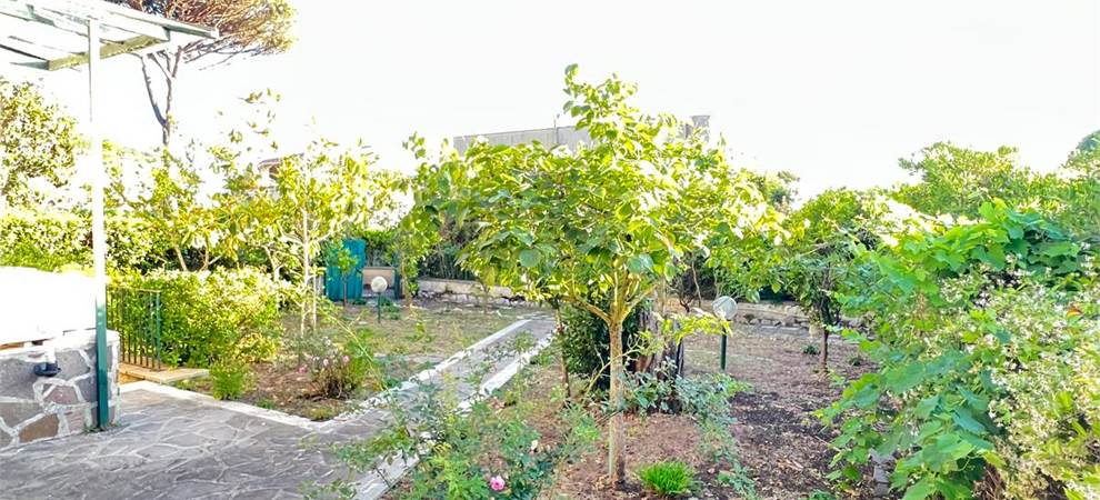 Foto annuncio